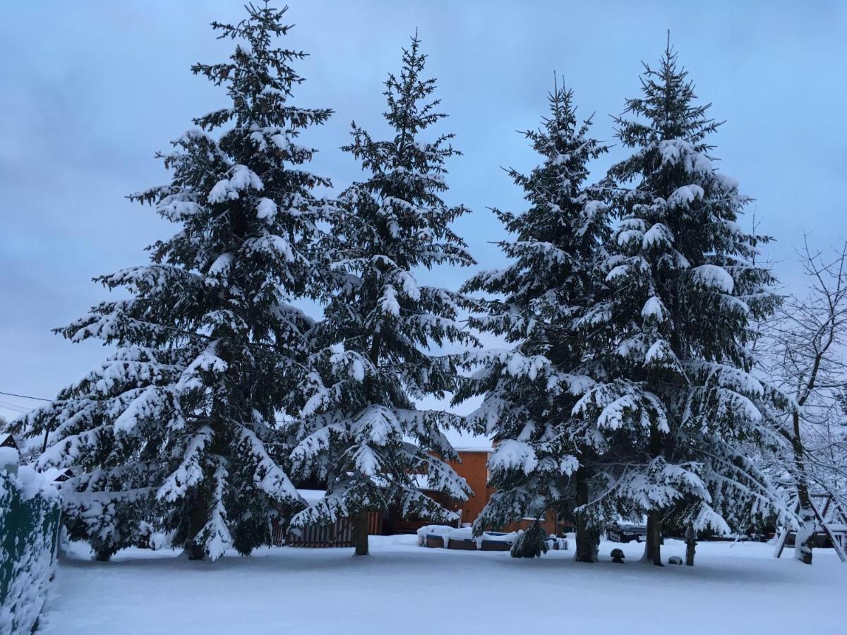Ubytování U Rybníčka Arnoltice u Decina Esterno foto